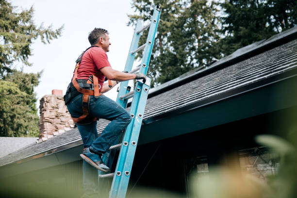 Best Solar Panel Roofing Installation  in Arnold, CA
